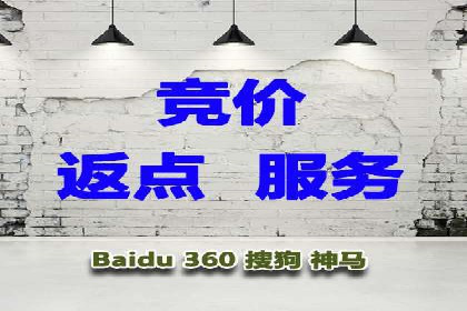 百度网络推广实战技巧：案例解析，让广告投放更精准